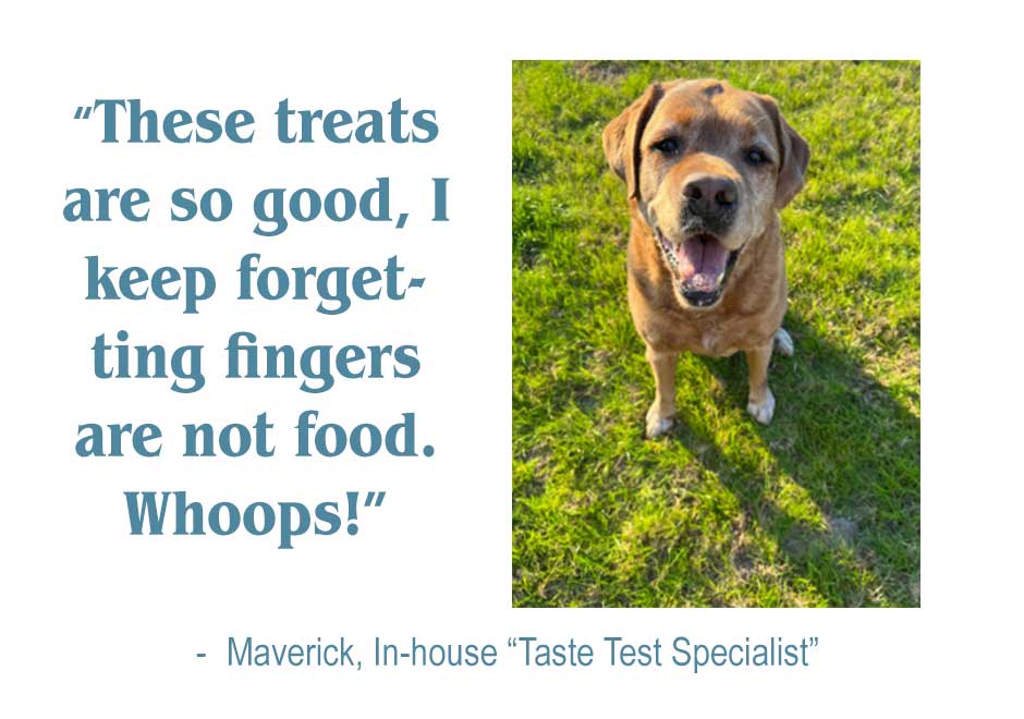 maverick-taste-tester-for-treats Picture of Maverick taste testing Tasty Doghouse Treats - He approved