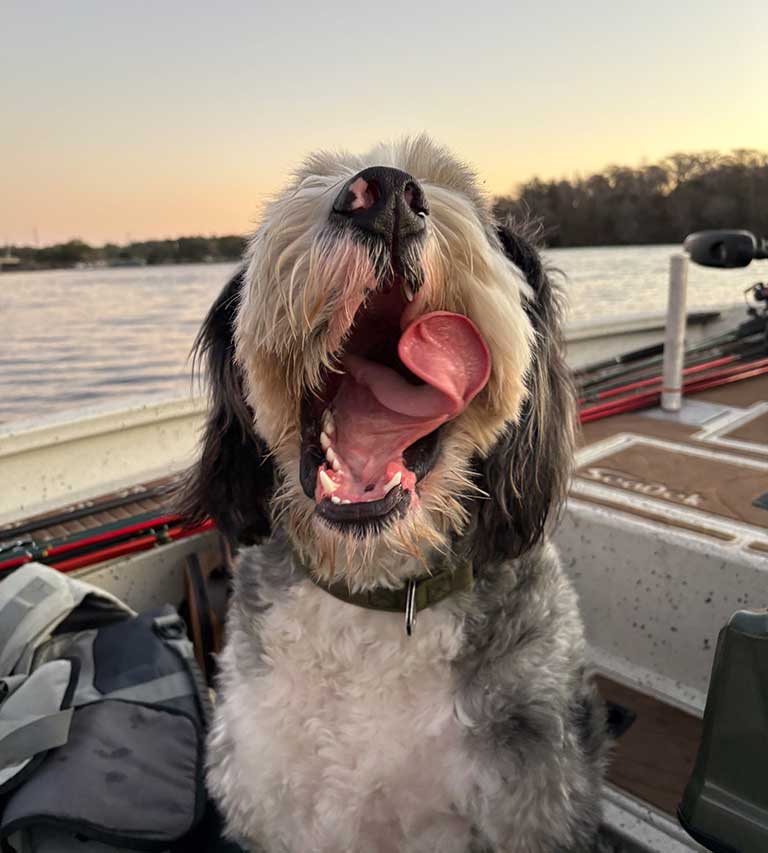 dug-our-do-on-boatg
